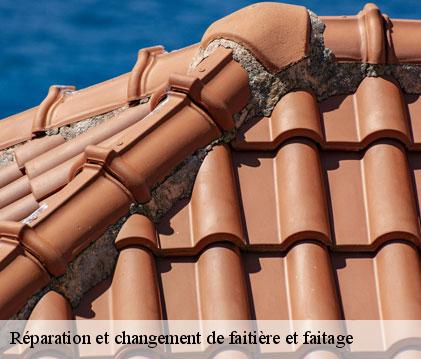 Réparation et changement de faitière et faitage noilhan-32130 GR Couverture 32