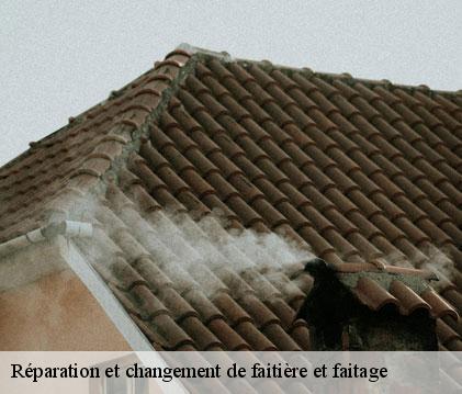 Réparation et changement de faitière et faitage viella-32400 GR Couverture 32