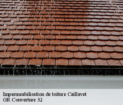 Impermeabilisation de toiture caillavet-32190 GR Couverture 32