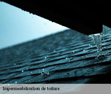 Impermeabilisation de toiture  caupenne-d-armagnac-32110 GR Couverture 32