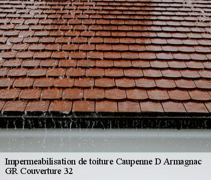 Impermeabilisation de toiture  caupenne-d-armagnac-32110 GR Couverture 32
