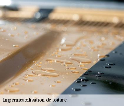 Impermeabilisation de toiture  caupenne-d-armagnac-32110 GR Couverture 32