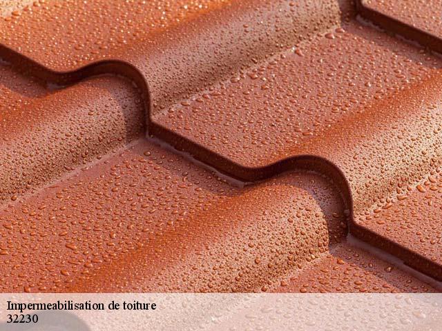 Impermeabilisation de toiture 32230