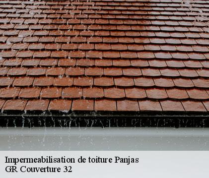 Impermeabilisation de toiture panjas-32110 GR Couverture 32