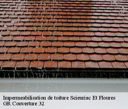 Impermeabilisation de toiture scieuriac-et-floures-32230 GR Couverture 32