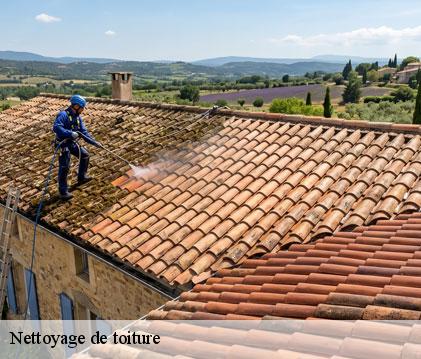 Nettoyage de toiture blousson-serian-32230 GR Couverture 32