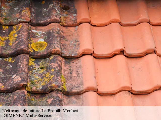 Nettoyage de toiture  le-brouilh-monbert-32350  GIMENEZ Multi-Services