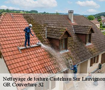 Nettoyage de toiture castelnau-sur-lauvignon-32100 GR Couverture 32