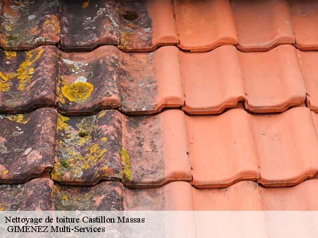 Nettoyage de toiture  castillon-massas-32360  GIMENEZ Multi-Services