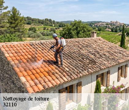 Nettoyage de toiture caupenne-d-armagnac-32110 GR Couverture 32