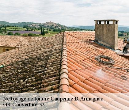 Nettoyage de toiture caupenne-d-armagnac-32110 GR Couverture 32