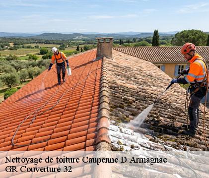 Nettoyage de toiture caupenne-d-armagnac-32110 GR Couverture 32
