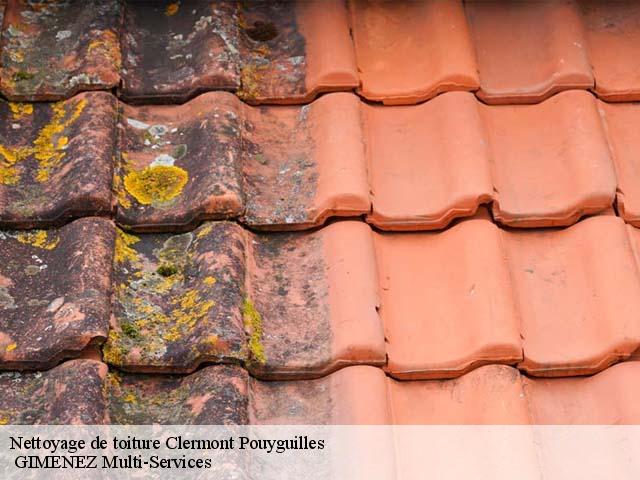 Nettoyage de toiture clermont-pouyguilles-32300 GIMENEZ Multi-Services