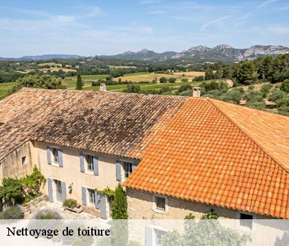Nettoyage de toiture couloume-mondebat-32160 GR Couverture 32
