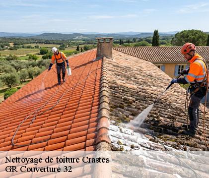 Nettoyage de toiture  crastes-32270 GR Couverture 32