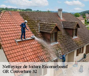 Nettoyage de toiture  escorneboeuf-32200 GR Couverture 32