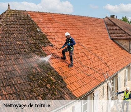 Nettoyage de toiture  gazaupouy-32480 GR Couverture 32