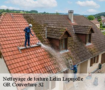 Nettoyage de toiture  lelin-lapujolle-32400 GR Couverture 32