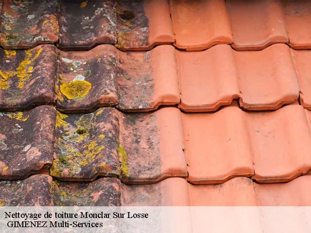 Nettoyage de toiture  monclar-sur-losse-32300  GIMENEZ Multi-Services