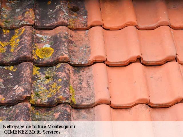 Nettoyage de toiture  montesquiou-32320  GIMENEZ Multi-Services