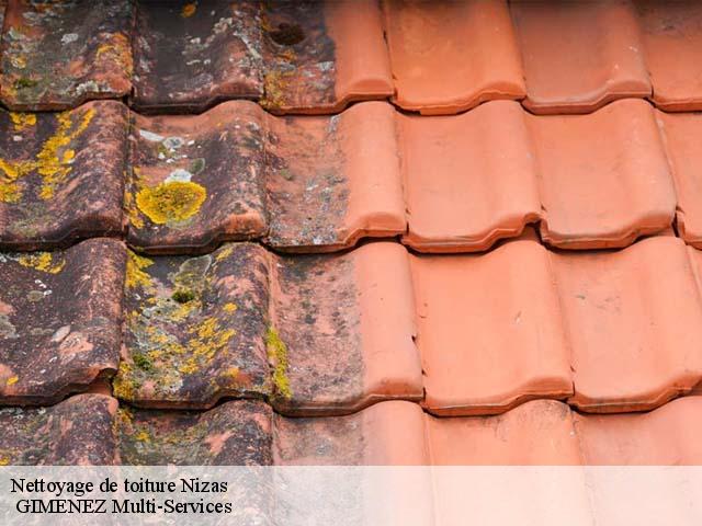 Nettoyage de toiture  nizas-32130  GIMENEZ Multi-Services