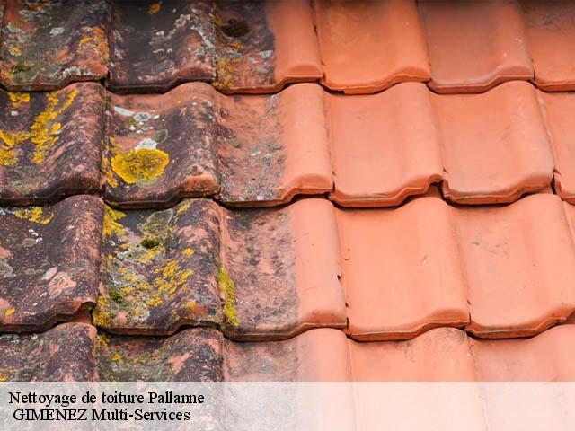 Nettoyage de toiture pallanne-32230 GIMENEZ Multi-Services