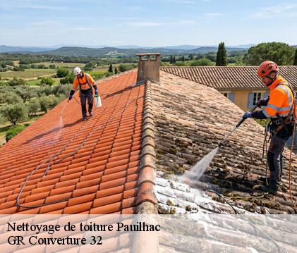 Nettoyage de toiture  pauilhac-32500 GR Couverture 32