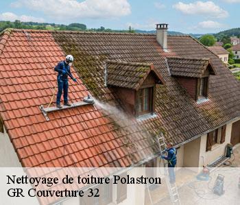 Nettoyage de toiture polastron-32130 GR Couverture 32