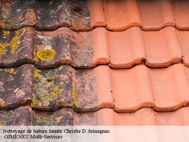 Nettoyage de toiture  sainte-christie-d-armagnac-32370  GIMENEZ Multi-Services