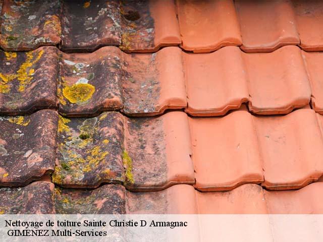 Nettoyage de toiture sainte-christie-d-armagnac-32370 GIMENEZ Multi-Services