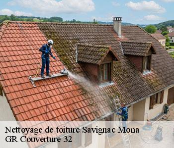 Nettoyage de toiture  savignac-mona-32130 GR Couverture 32