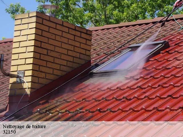 Nettoyage de toiture 32150