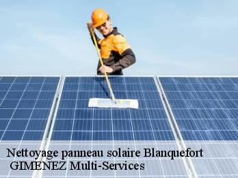 Nettoyage panneau solaire blanquefort-32270 GIMENEZ Multi-Services