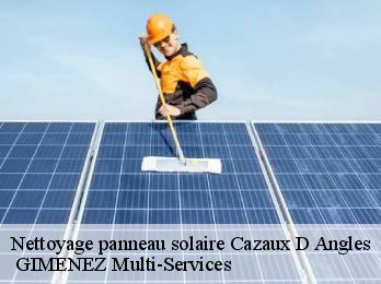 Nettoyage panneau solaire cazaux-d-angles-32190 GIMENEZ Multi-Services