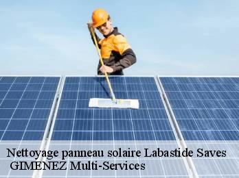 Nettoyage panneau solaire labastide-saves-32130 GIMENEZ Multi-Services