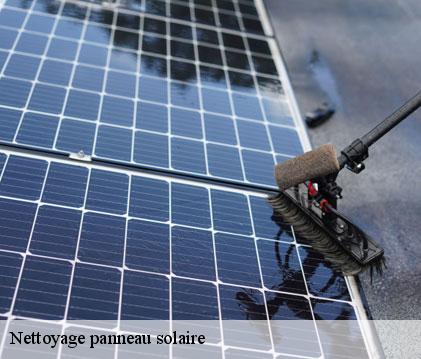 Nettoyage panneau solaire louslitges-32230 GR Couverture 32