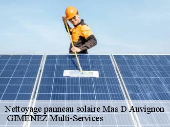 Nettoyage panneau solaire mas-d-auvignon-32700 GIMENEZ Multi-Services