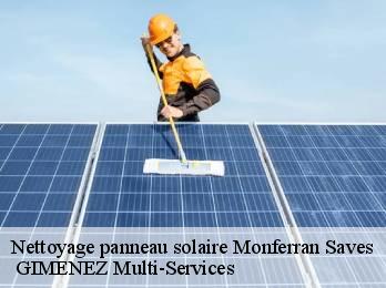 Nettoyage panneau solaire monferran-saves-32490 GIMENEZ Multi-Services