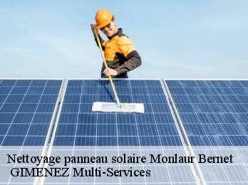 Nettoyage panneau solaire monlaur-bernet-32140 GIMENEZ Multi-Services