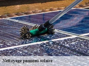 Nettoyage panneau solaire