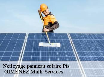 Nettoyage panneau solaire pis-32500 GIMENEZ Multi-Services