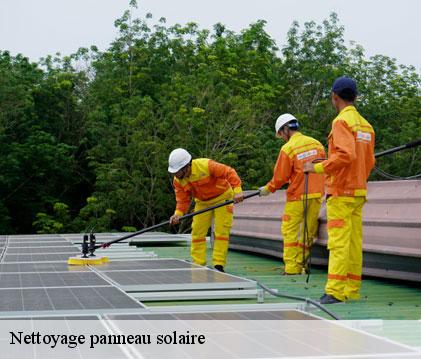Nettoyage panneau solaire  ramouzens-32800 GR Couverture 32