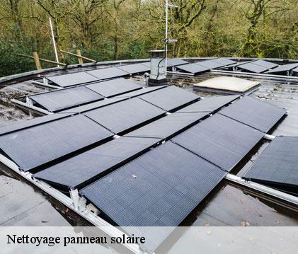 Nettoyage panneau solaire  rozes-32190 GR Couverture 32