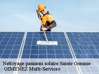 Nettoyage panneau solaire sainte-gemme-32120 GIMENEZ Multi-Services