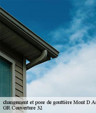 changement et pose de gouttière  mont-d-astarac-32140 GR Couverture 32