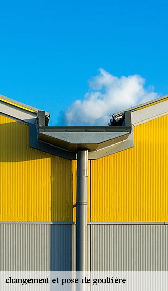 changement et pose de gouttière toujouse-32240 GR Couverture 32